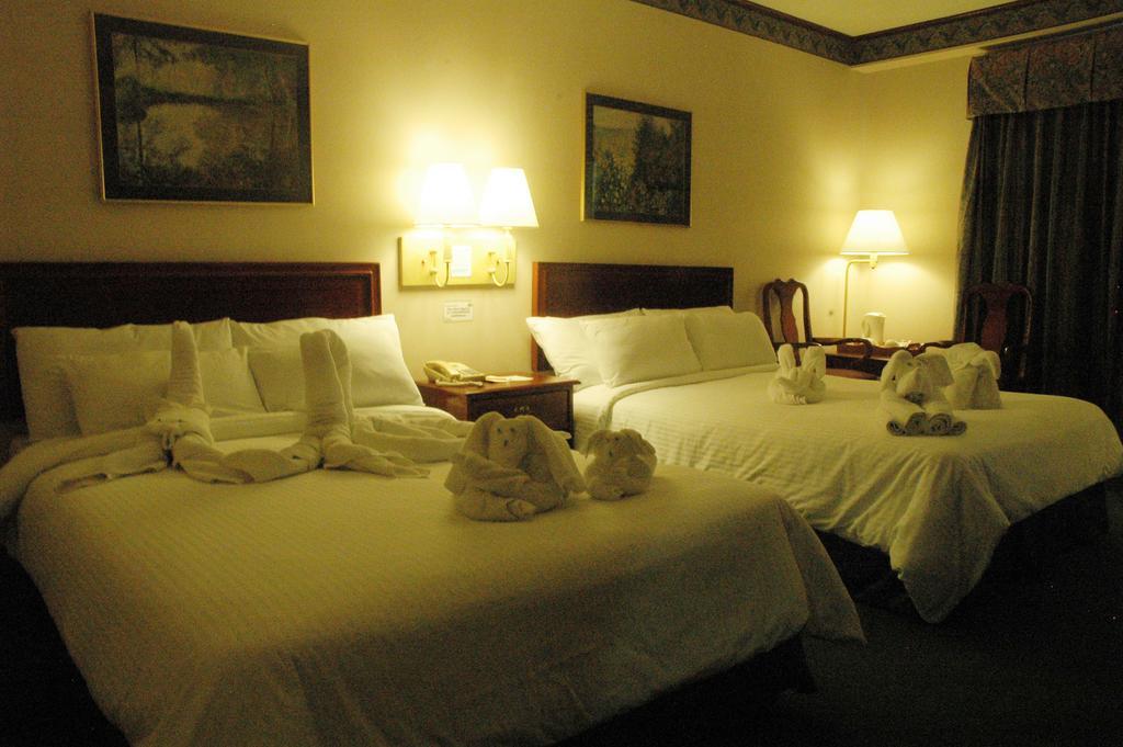 Tagaytay Country Hotel Tagaytay City Szoba fotó